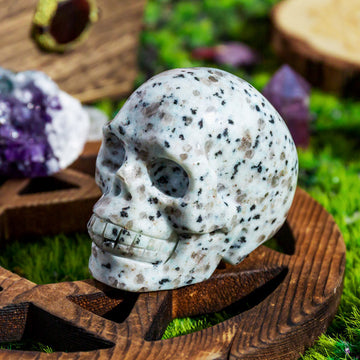 Kiwi Jasper Skull¡¾LIMITED SALES¡¿